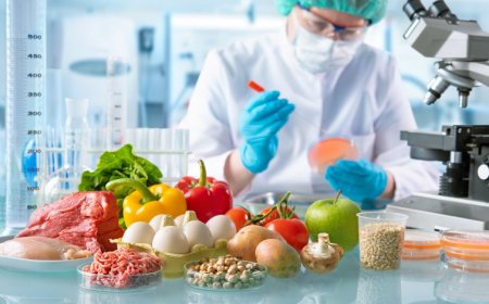 Opinião dos Especialistas: Tendências Emergentes no Setor de Franquias de Alimentação