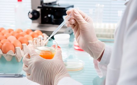 Treinamento de Chef: Franquias de Alimentação Oferecem Cursos de Culinária para Funcionários