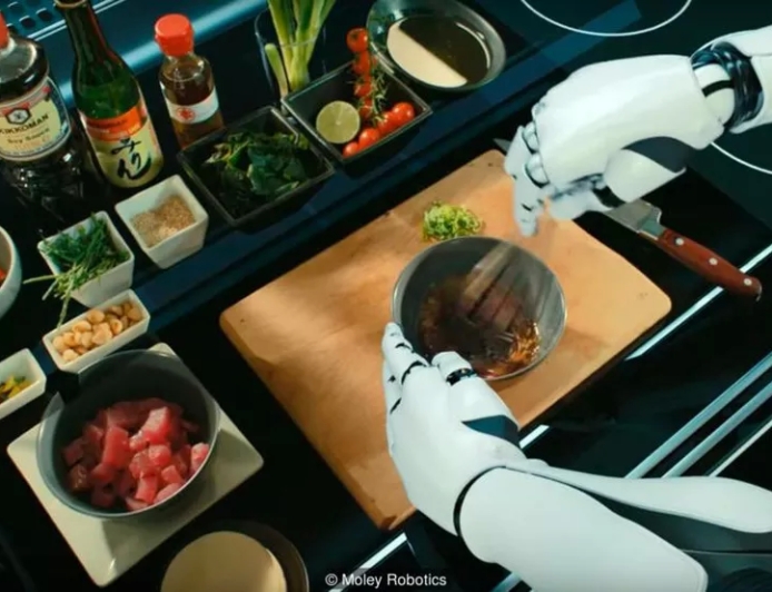 Inovação na Franquia de Alimentação: Robôs Chefes de Cozinha Ganham Destaque