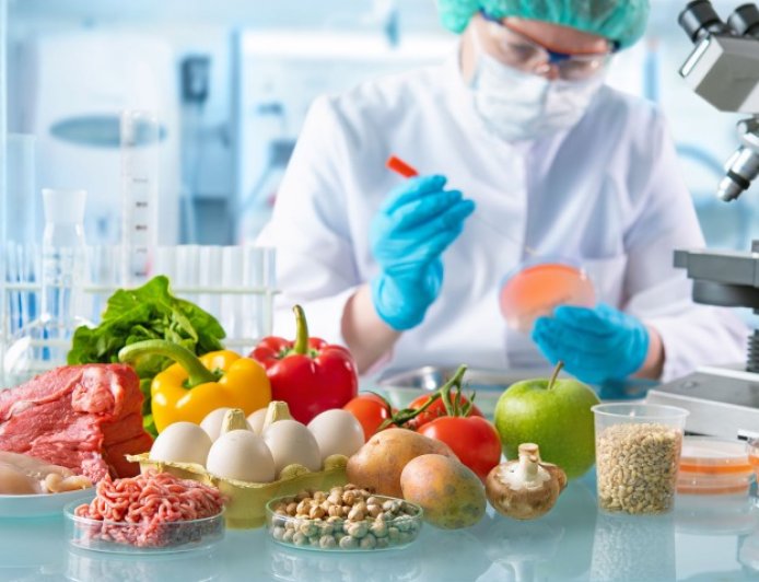 Opinião dos Especialistas: Tendências Emergentes no Setor de Franquias de Alimentação