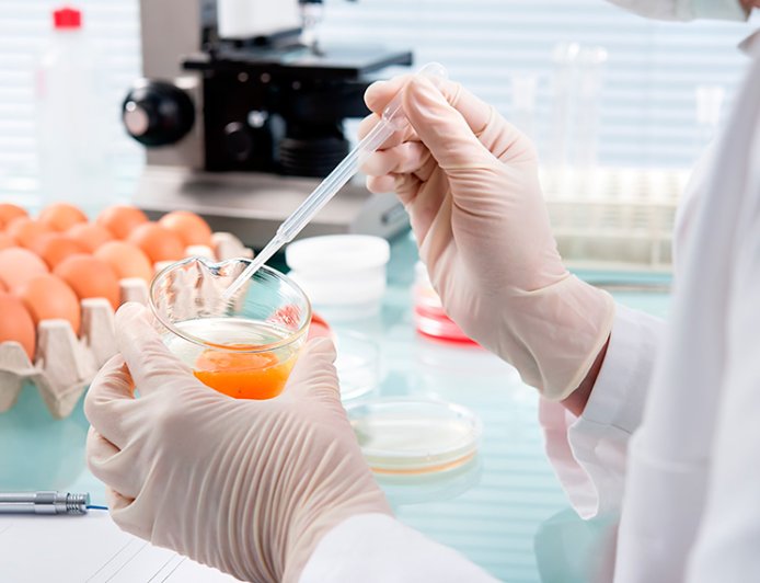 Treinamento de Chef: Franquias de Alimentação Oferecem Cursos de Culinária para Funcionários