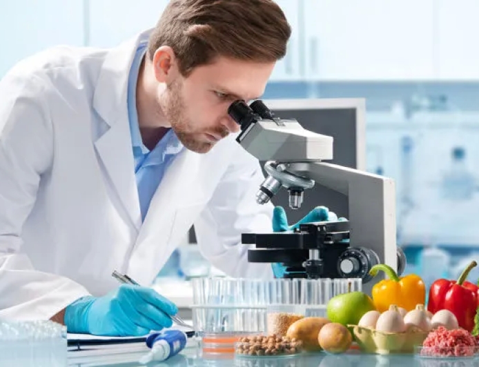 Cursos de Capacitação: Franqueados de Alimentação Investem em Educação para o Sucesso