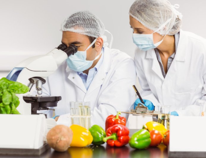 Educação Online: Franquias de Alimentação Oferecem Cursos Virtuais para Empreendedores